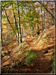 foto Parco Wilhelmshöhe in Autunno